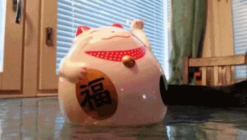 教科书式搞笑gif,搞笑gif图看得我也想去学跳舞了