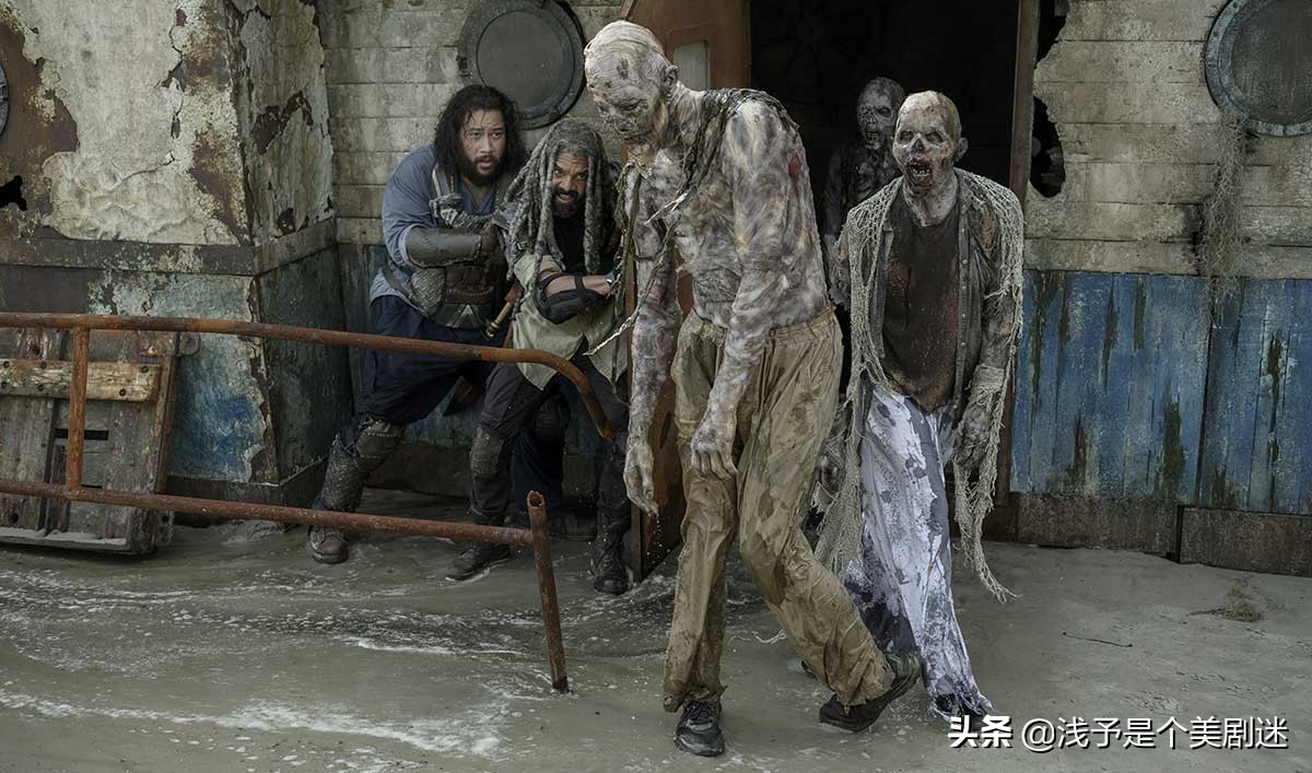 行尸走肉后面丧尸种类,行尸走肉有变异丧尸吗