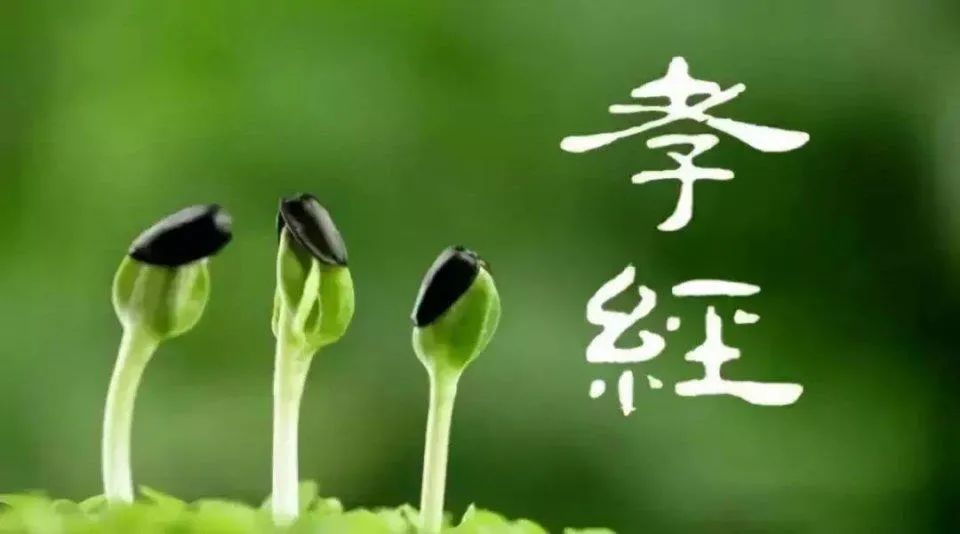 选贤任能历史典故,中国古代选贤任能的历史