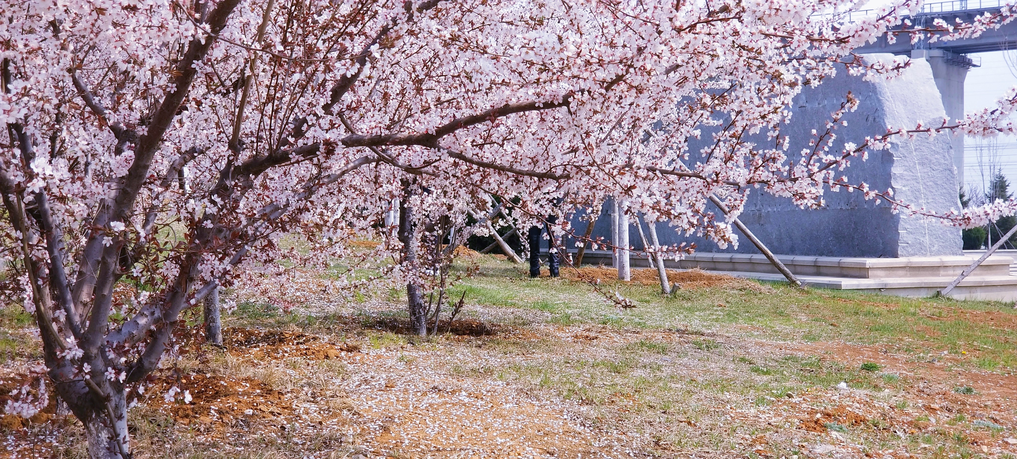 景美人少公园,景美人少适合去哪里旅游