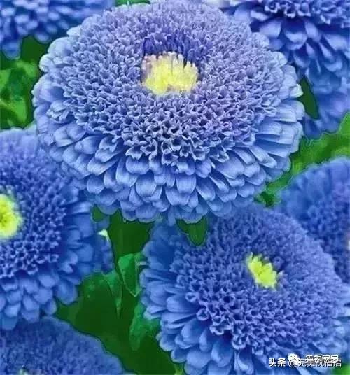 正月初九寓意的吉祥话,正月初九美好的祝福送给有缘的人