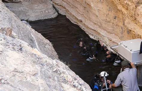 沙漠鱼濒临灭绝,全球仅剩38条的沙漠鱼怎样