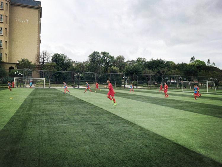 新华社点评恒大,新华社青训最新消息