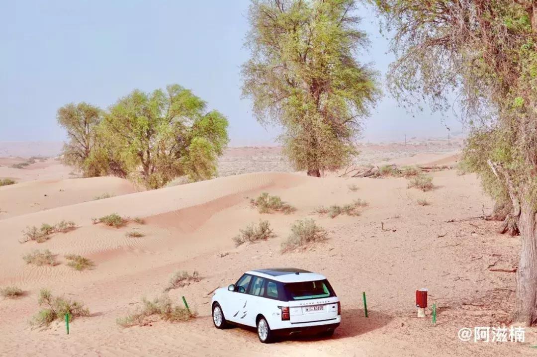 奇迹之城迪拜攻略,沙漠奇迹之城攻略