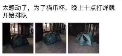 星巴克猫爪杯为何热销,星巴克抢购猫爪杯