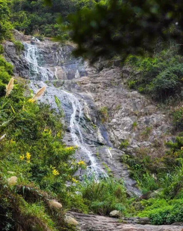 深圳花海公园地址在哪里,深圳中心河公园花海