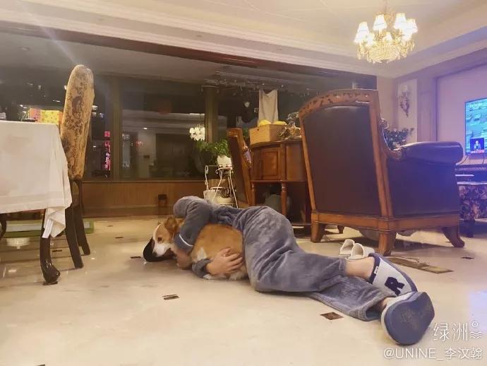 章子怡评李佳琦完整版,章子怡评价李佳琦完整版