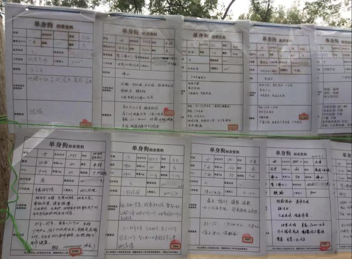 在相亲角逛了一圈，我们差点脱不开身