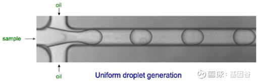 全场硬菜！分子诊断技术全解析