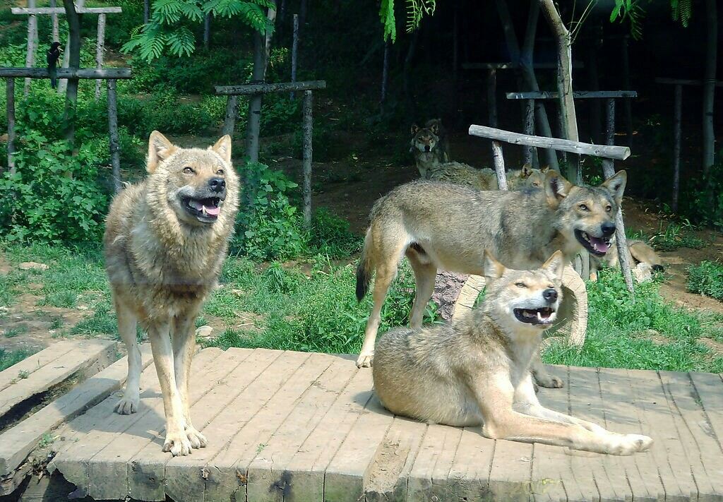 辽宁大连推荐旅游景点,辽宁大连旅游必去景点