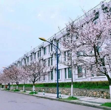 三室一厅，复合式景观房，临近地铁！南京这所双一流高校宿舍超豪华！