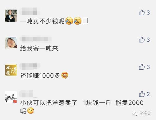 女孩送一吨洋葱,女孩网购一吨洋葱送前男友哭了