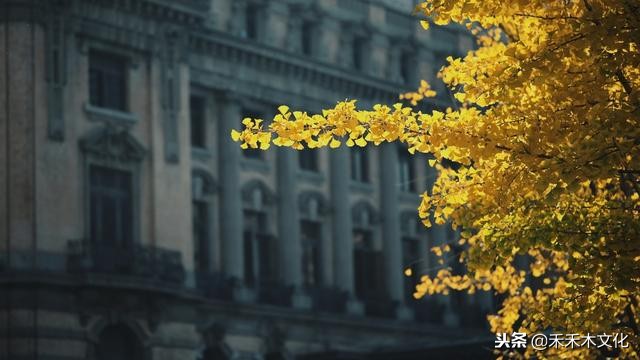 南方的孩儿爱上北方的海