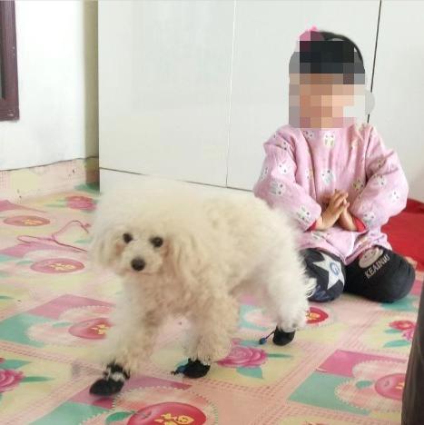 起底哈尔滨性侵5岁女童嫌犯“傻六子”：几乎天天酗酒，事发前喝了两瓶老白干，与养母靠捡废品为生