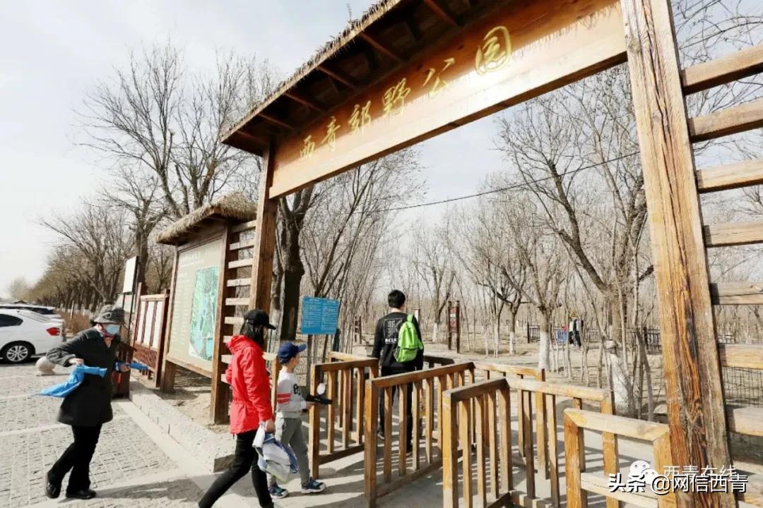 天津新开放的公园,天津水西公园现在恢复开放了吗