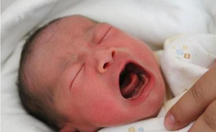 十二生肖出生在农历几月最有福气,2023几月份出生的兔宝宝最有福气