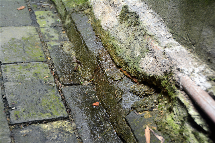 北海老街“摸乳巷”的真实作用原来是这样…