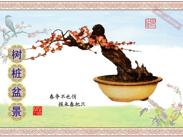 鏍戞々鐩嗘櫙楂樻竻鍥剧墖,姒旀鐩嗘櫙鏍戞々