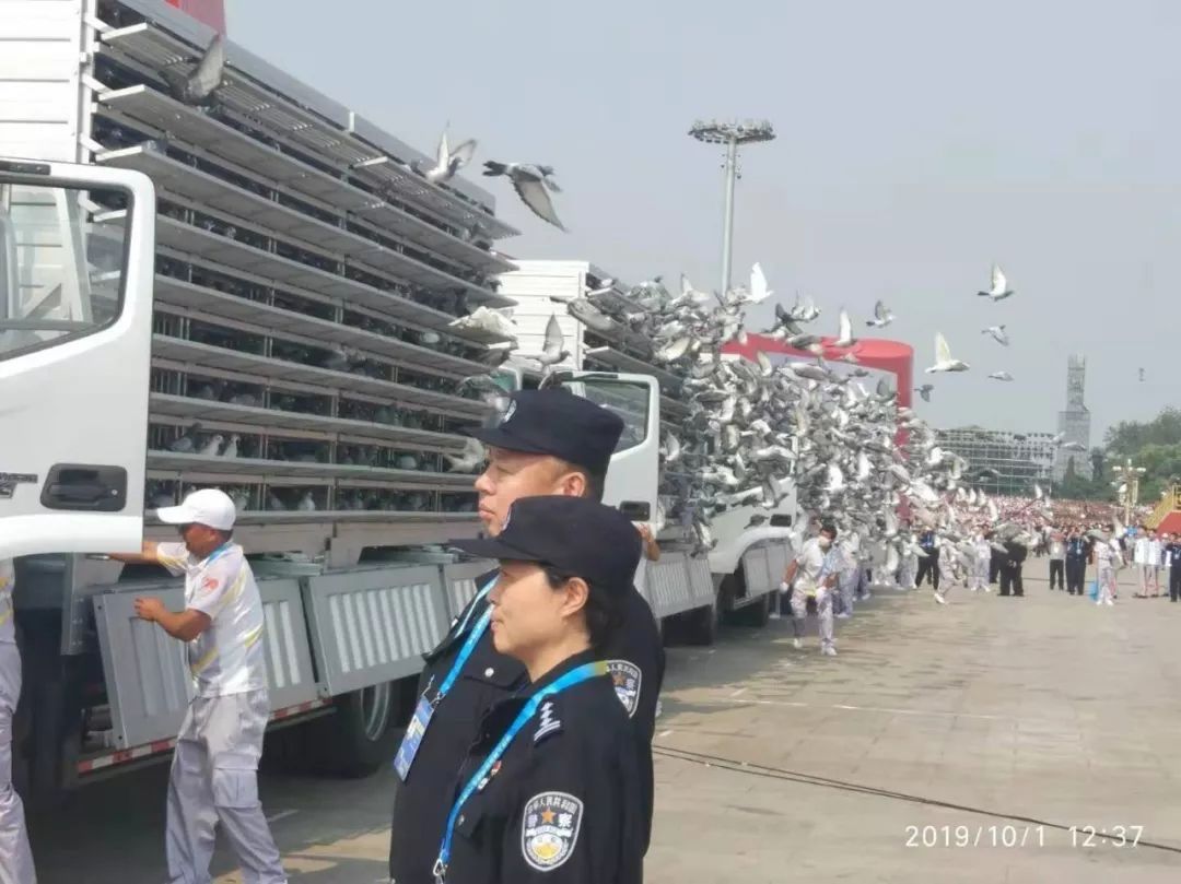 7万个气球腾空而起,七万只气球