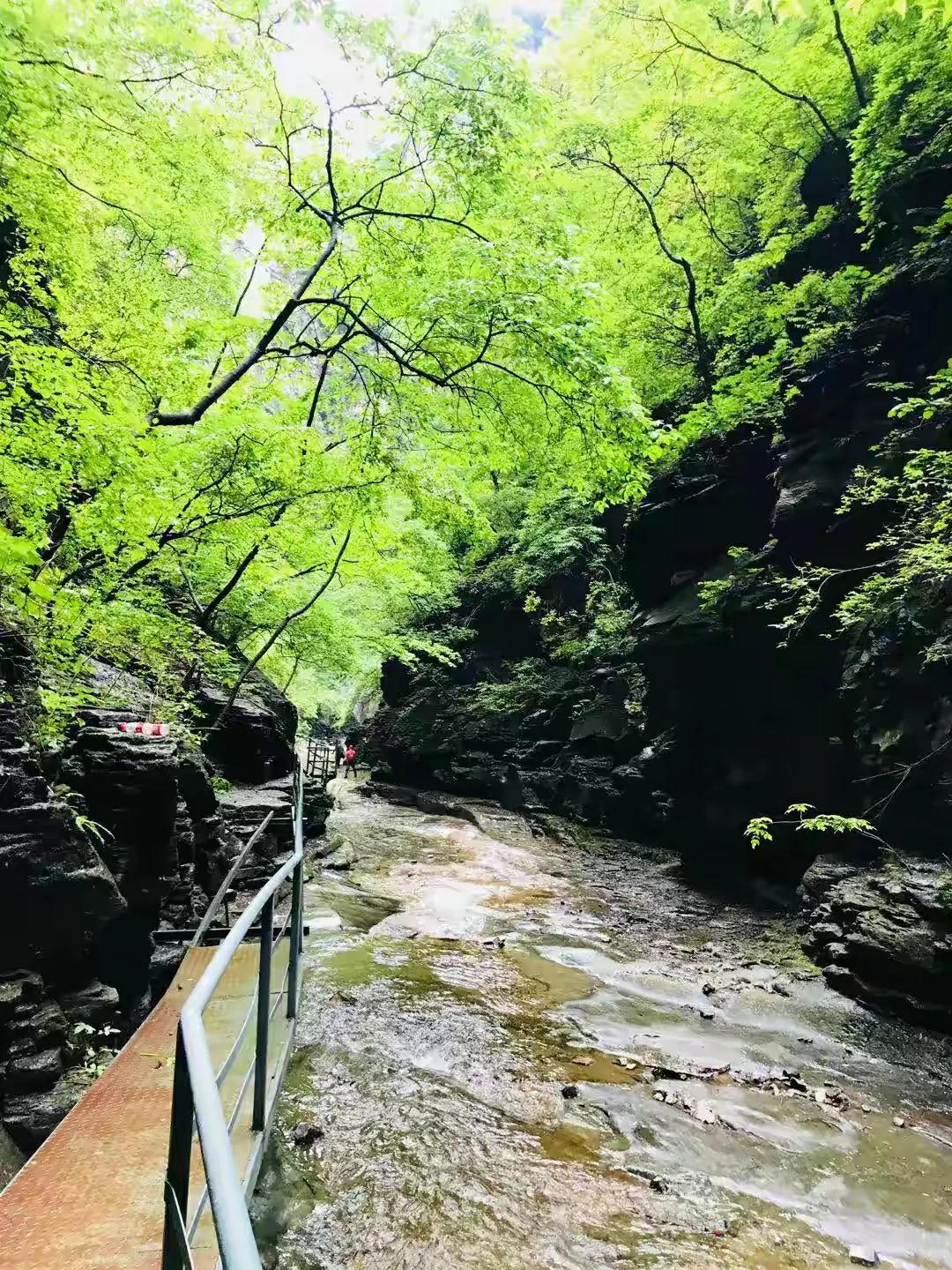 亲测推荐国内4处避暑胜地,避暑圣地南太行八里沟