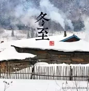 农事节气谚语,农事歌大全