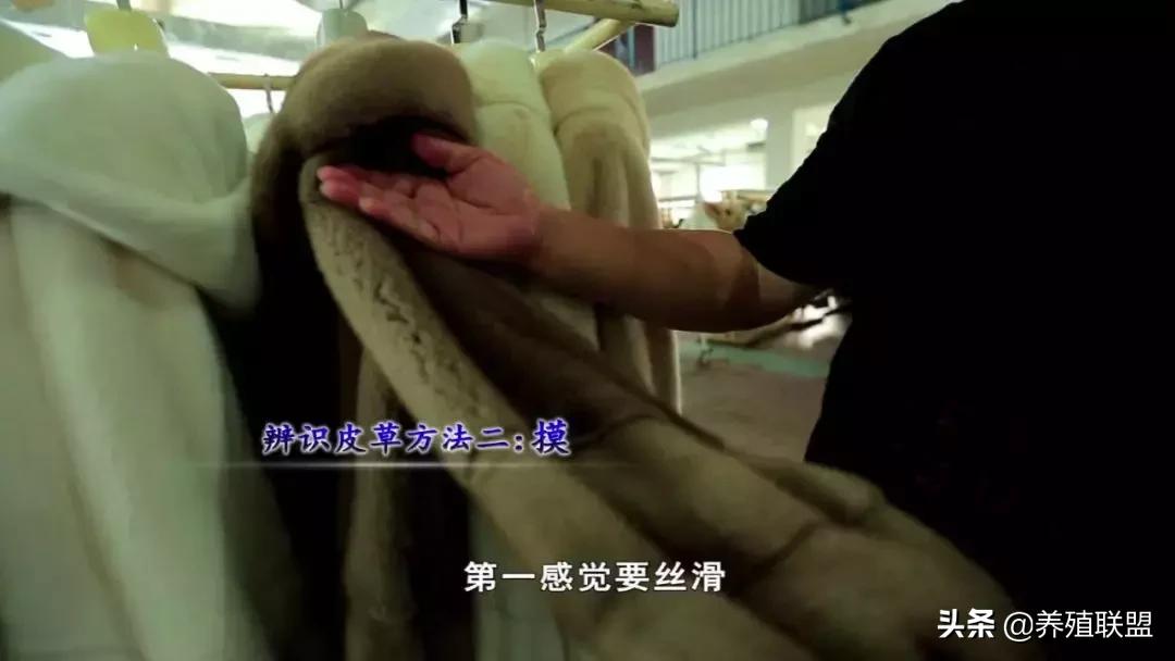 几千和几百的皮衣,一千块可以买什么档次的皮草