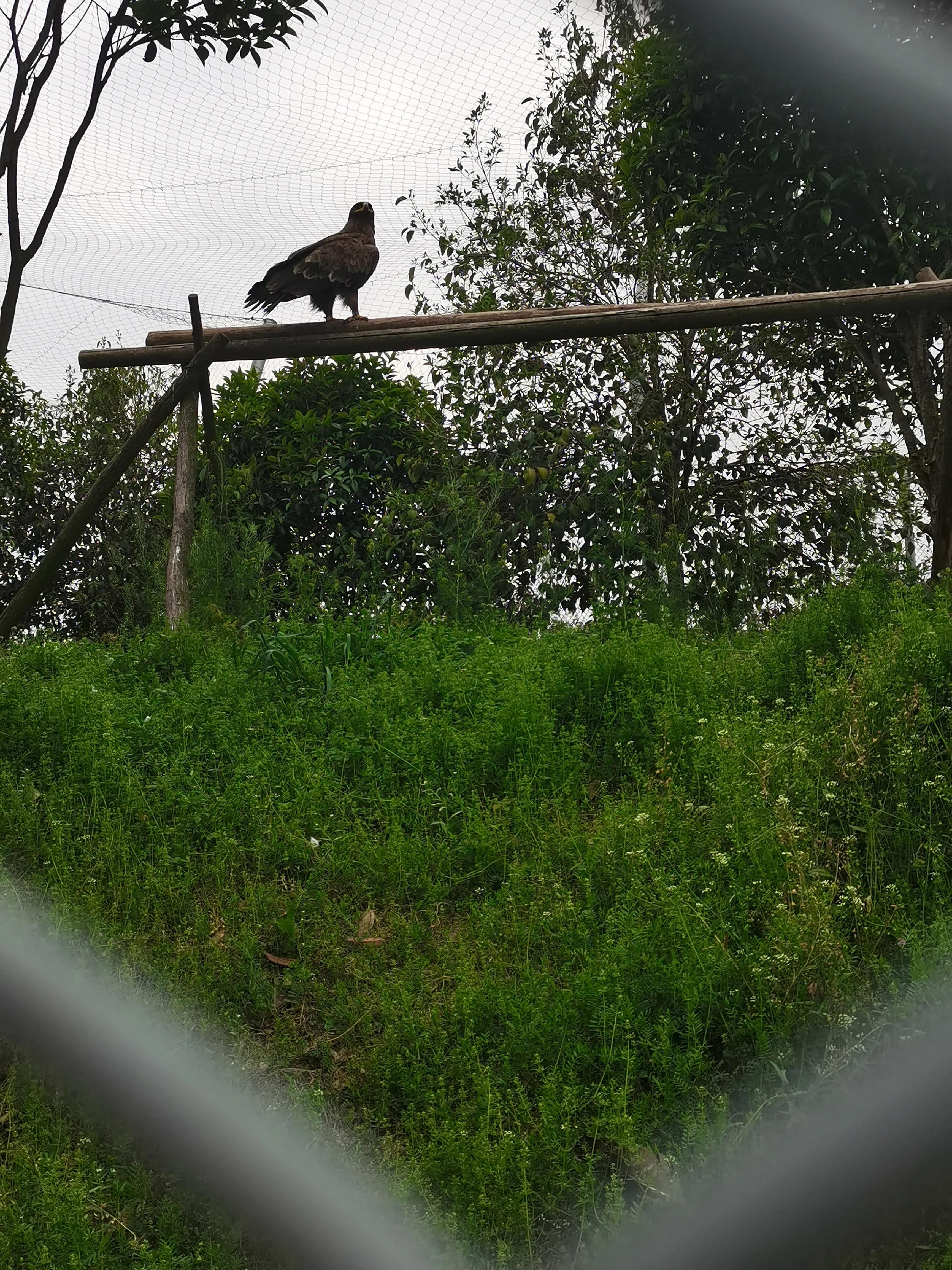 宿州火车站到宿州野生动物园,济南野生动物园和宿州野生动物园