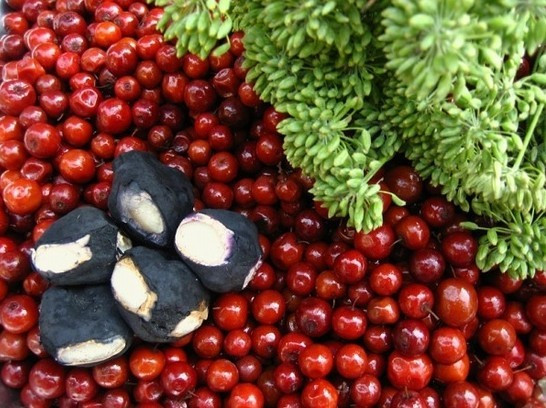 1分钟挑战认出10种罕见水果,5种难得一见的稀有水果