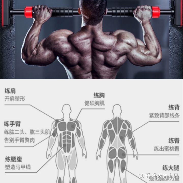 居家健身器材选择哪种好用呢,居家健身器材推荐买哪些