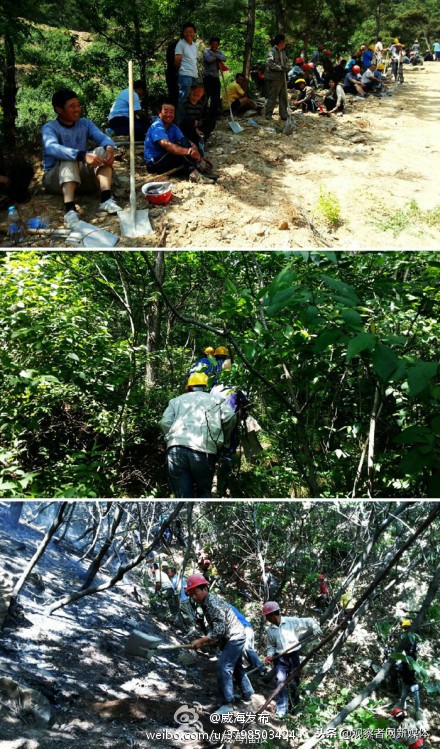 美国加州山火为什么扑不灭火,美国加州山火案例