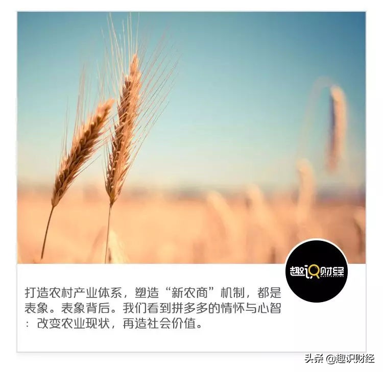 拼多多农产品模式,拼多多一站式产业助农新路径