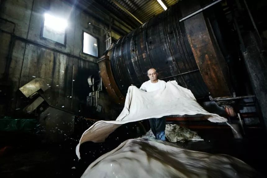 皮革的基础知识和分类,皮革的分类区分