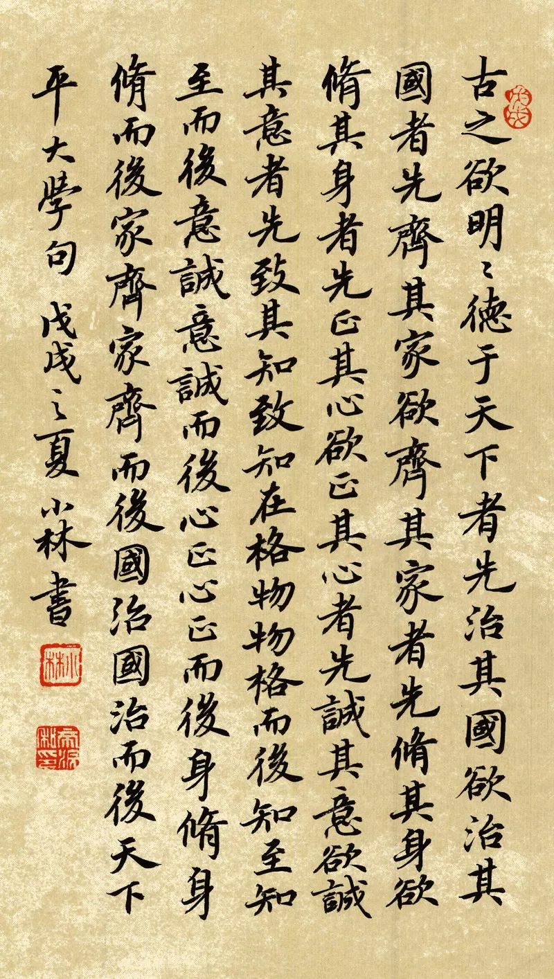 放学回家作文,走在放学回家的路上作文