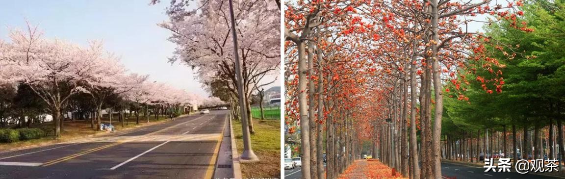 珠海有哪些值得打卡的地方,珠海有什么地方值得去打卡