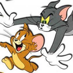 张老师讲哲学之认识事物的基础,张老师讲哲学的矛盾