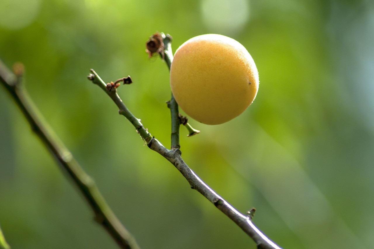 源自古诗的经典成语,语文中惊艳世人的绝美成语