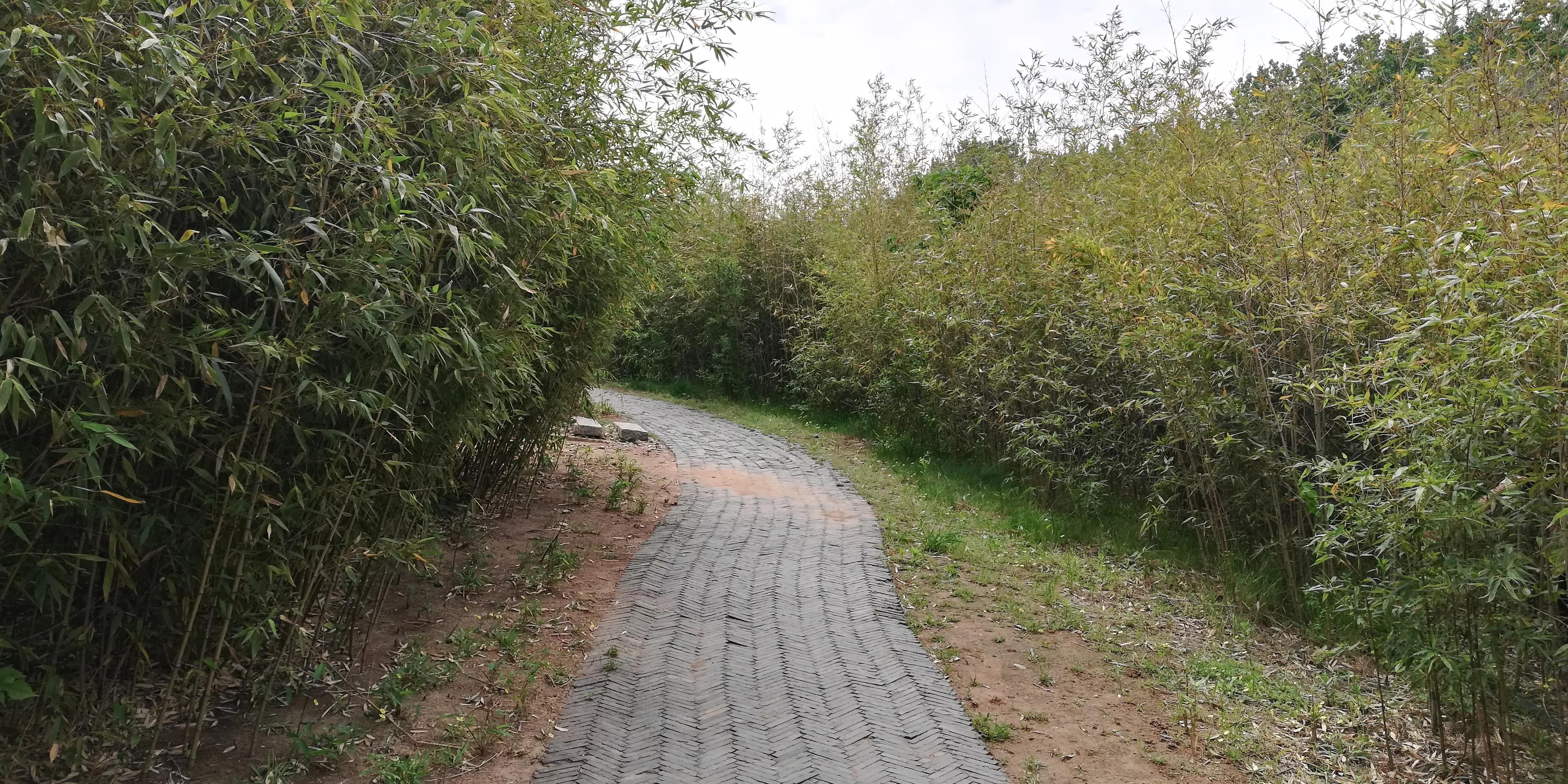 美女稽查官，夜闯“迷你”酒吧，与老板私下做生意