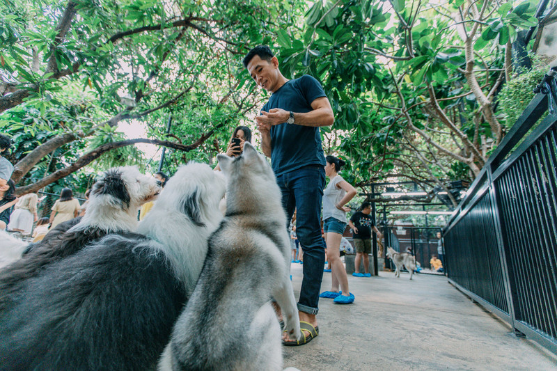 多次曼谷，整顿了这份美食攻略，曼谷怎么吃，戳进来