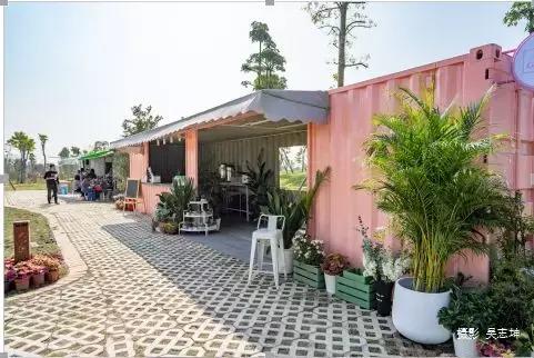 小榄菊花展团购,小榄菊花会2020门票