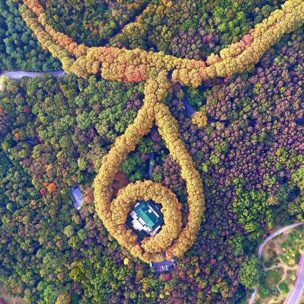 翡翠也能像钻石一样人工合成,钻石都可以人工合成翡翠也可以吗