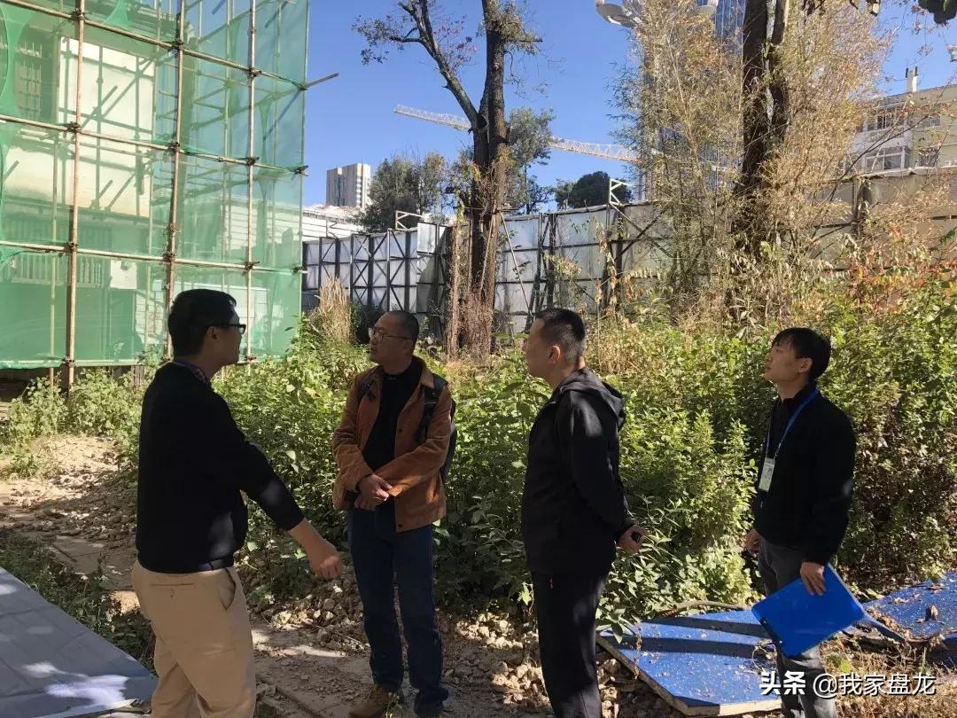 盘龙宝藏2018年度“账单”出炉：*物文**保护，我们一直在路上