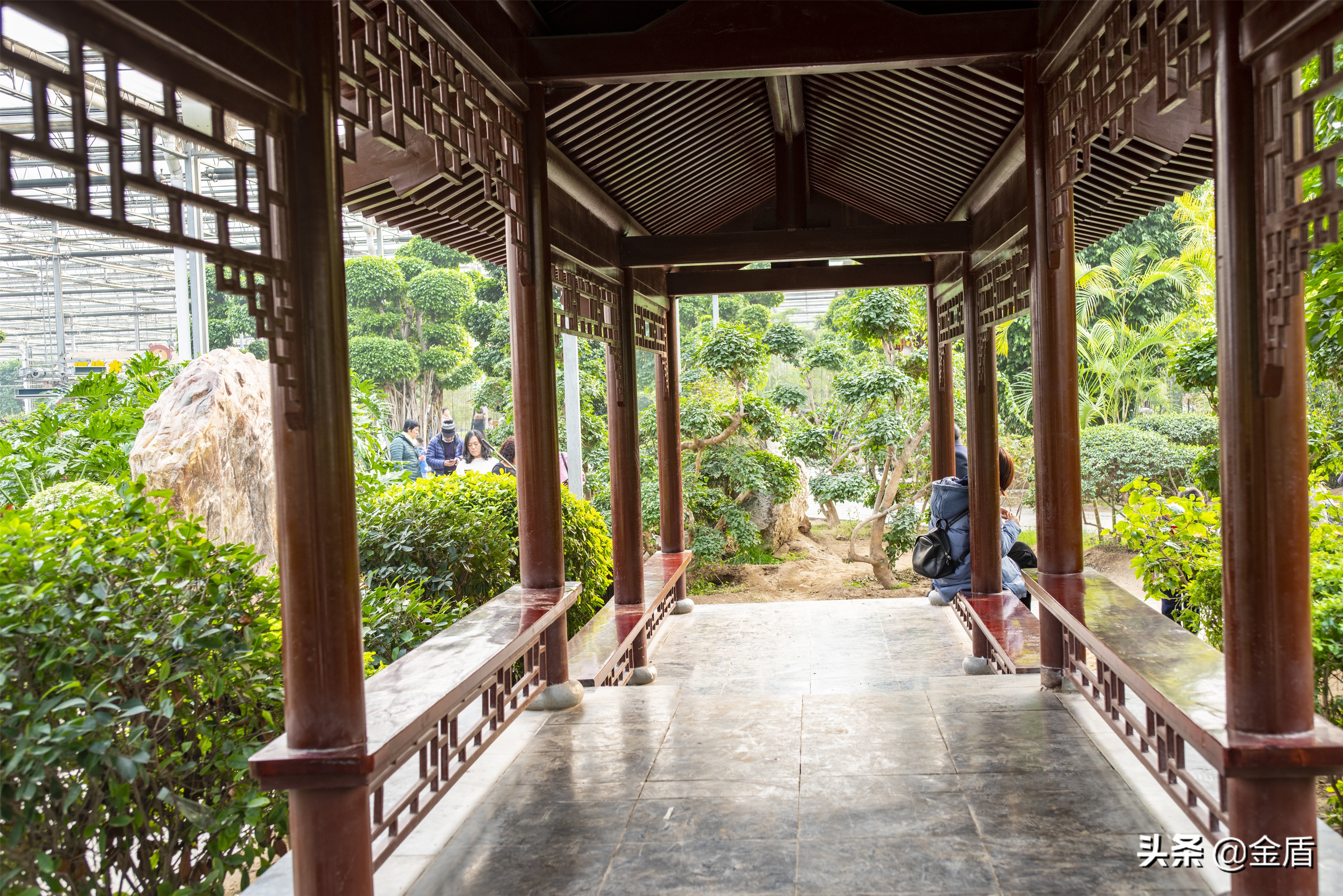 九天休闲谷欢迎您游玩,九天休闲谷适合春天去吗