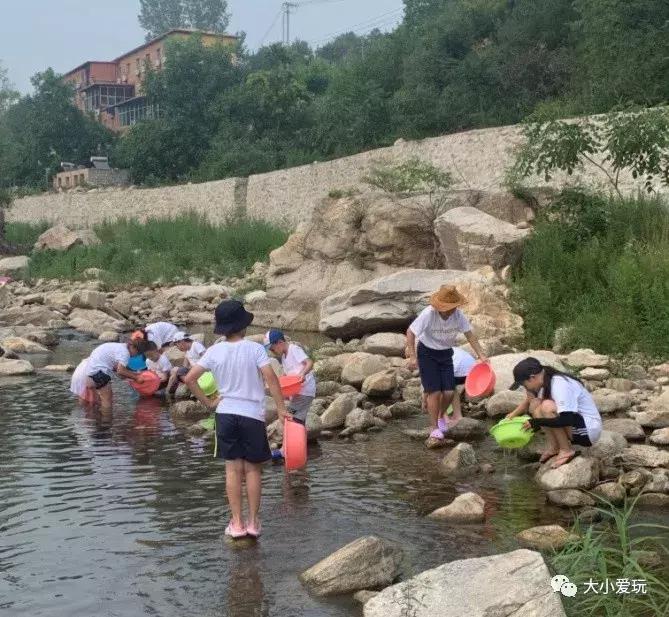 夏令营实地考察,儿童夏令营营地