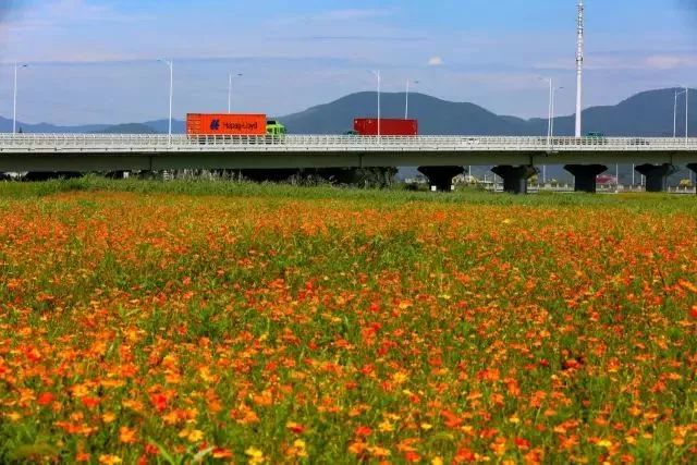 家在北仑,我有一个家北仑