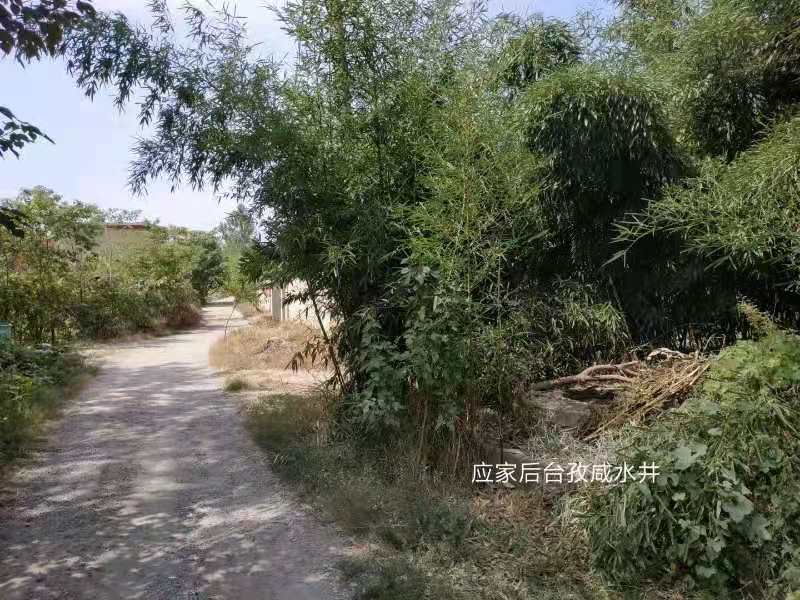 淮南乡土｜寻访古井（吴井篇）