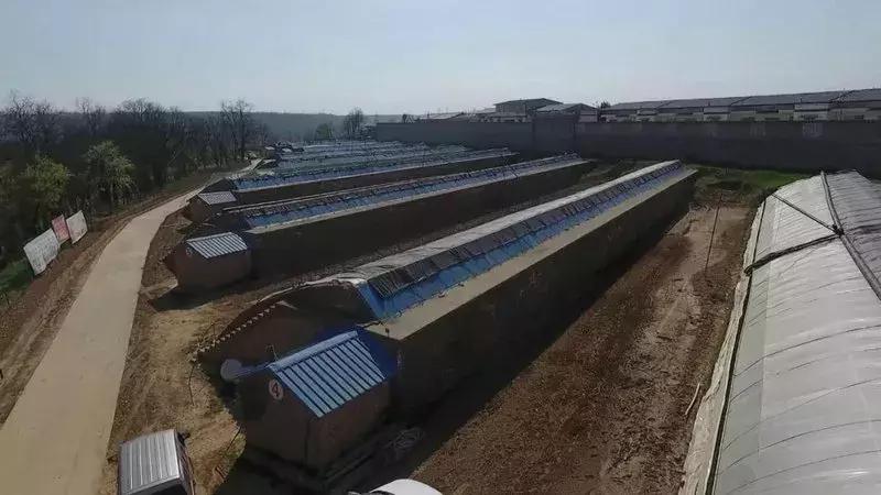 湘妹子的“花世界”——记黄陵县妇女创业能手张凤姣