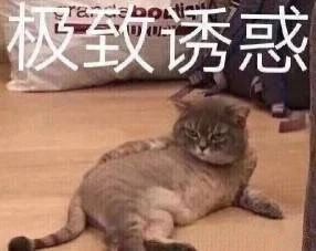 网上的打字员兼职是真的假的,网上招打字员兼职是真的吗