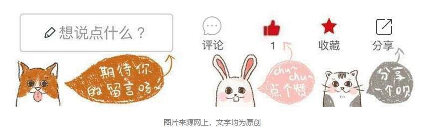 狗贩子收老狗怎么处理,九年高龄的老狗会被狗贩子卖到哪