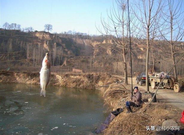 适合农村创业致富的项目有哪些,2021致富新机器