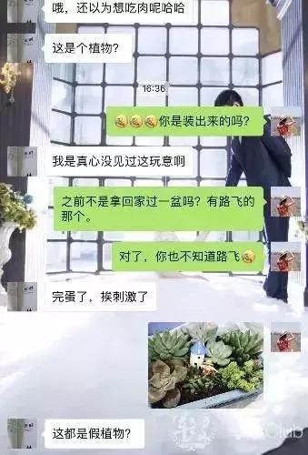 求救：谁能拯救一下我家的直男兵哥？